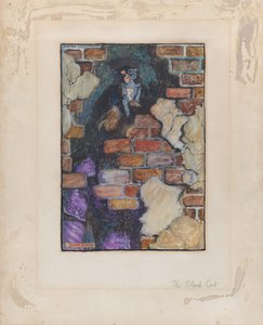 Černá kočka pro Edgara Allana Poea „Selected Tales of Mystery“, 1909, 1909.