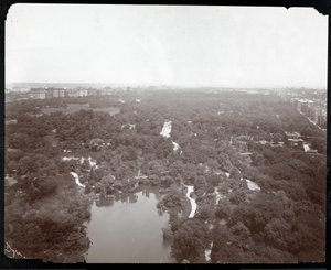 Pohled na Central Park z hotelu Plaza, 5th Avenue a 59th Street, New York, cca 1907 (stříbrný želatinový tisk) od Byron Company
