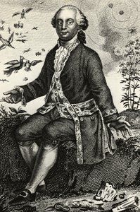 Portrét Georges-Louis Leclerc de Buffon (1707-1788), francouzský přírodovědec a matematik, rytina od J.B. and Brown J. Rowbotham