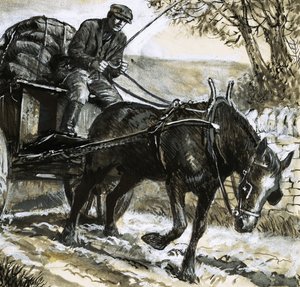 Koně byli podvyživení a přetěžovaní. od C.L. Doughty