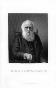 Charles Darwin , britský přírodovědec, 1899.