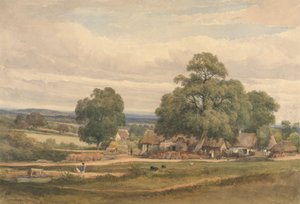 Emerey Down poblíž Lyndhurst, New Forest, Hants od C. John M. Whichelo