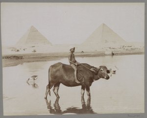 Chlapec na buvolovi se dvěma pyramidami v pozadí v Egyptě Beufe et Pyramides (název na objektu) od C. and G. Zangaki