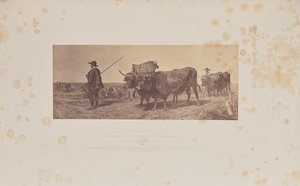 Návrat z práce, autor: R. Ansdell od Caldesi and Montecchi