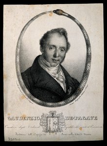Gaudenzio de Pagave. Litografie C. Gandolfiho.