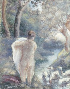 Nude with Swans, c.1895 (pro studium viz 259307)