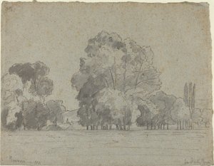 Háj stromů od Camille Pissarro