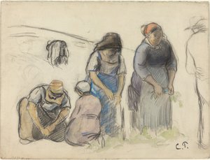 Sklízeče hrachu [recto], c. 1880. od Camille Pissarro