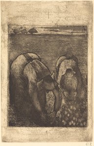 Sedláci na fazolovém poli Sedláci na fazolovém poli, 1891. od Camille Pissarro