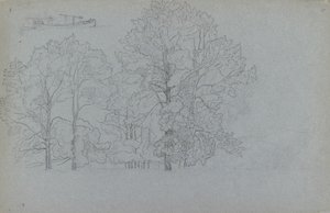 Studie stromů, s mírnou studií člunu, 1859 od Camille Pissarro