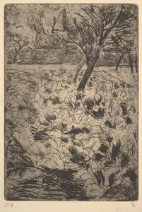 Zelné pole, ca. 1880. od Camille Jacob Pissarro