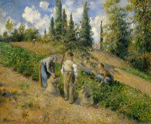 Sklizeň, Pontoise Sklizeň, Pontoise, 1881. od Camille Jacob Pissarro