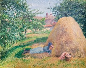 Siesta