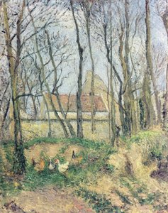 Neznámý obrázek od Camille Jacob Pissarro