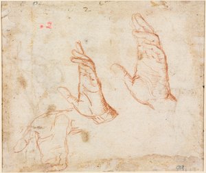 Studium rukou (verze) od Camillo Procaccini