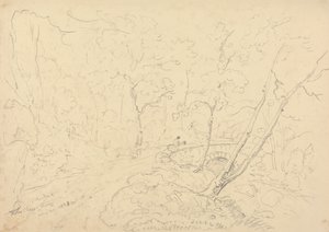 Holne Chase Bridge and River, 30 května 1833 od Capt. Thomas Hastings