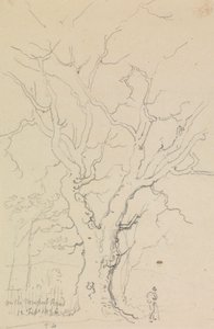 Na Newport Road, 12. února 1826 od Capt. Thomas Hastings