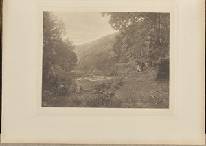 V Dove Dale