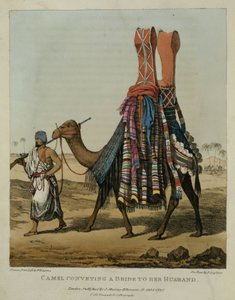 Velbloud přenáší nevěstu svému manželovi, vyryto Denisem Dightonem (1792-1827), deska 16 z 
