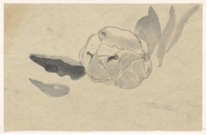 Květinová studie od Carel Adolph Lion Cachet