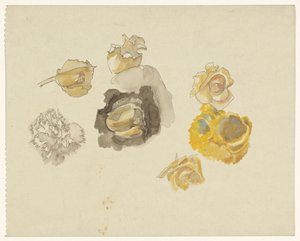 Studie květin ve žluté barvě od Carel Adolph Lion Cachet