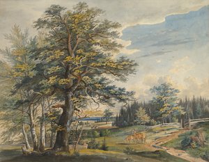 Zalesněná krajina s jelenem, 1800-1877.