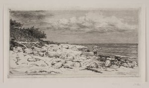 Stony Strandbred od Carl Bloch