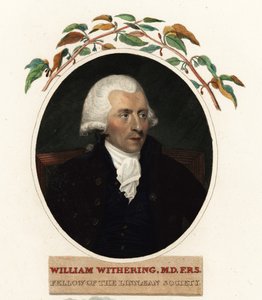 Portrét Williama Witheringa, lékaře a botanika od Carl Frederik van (after) Breda
