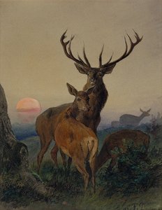 Jelen s jelenem v zalesněné krajině při západu slunce od Carl Friedrich Deiker