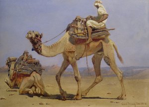Velbloud se připravuje k ležení, 1858