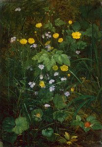 Pryskyřníky a pomněnky na lesní půdě od Carl Henrik Koch Moller