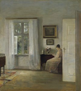 Čtenář od Carl Holsoe