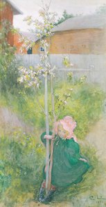 Jabloňový květ, 1894 od Carl Larsson