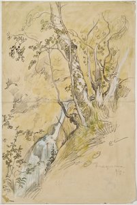 Břízy u potoka od Carl Larsson