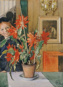 Britův kaktus, 1904 od Carl Larsson