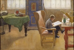 Esbjörn v pracovním koutě od Carl Larsson