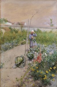 V kuchyňské zahradě od Carl Larsson