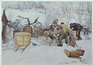"Zabíjení prasete", ilustrace pro knihu "Moje malá farma", vydáno ve Švédsku, 1904 od Carl Larsson