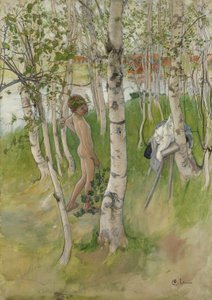 Nahý chlapec mezi břízami, 1898 (wc na papíře)
