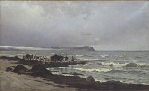 Mořské řasy se nakládají v Hornbæk Strand od Carl Locher