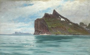 Pohled ze Severního mysu na Islandu z královské dánské cesty parníkem SS Birma v roce 1907 od Carl Locher
