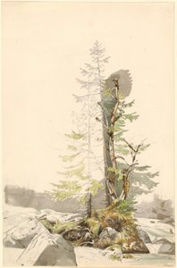  od Carl Morgenstern