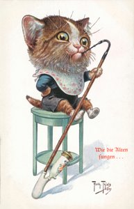 Humoristická pohlednice s kočkou (barevná litografie) od Carl Robert Arthur Thiele