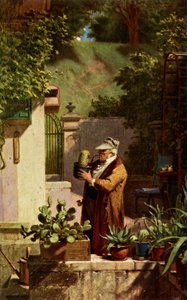 Kaktus od Carl Spitzweg