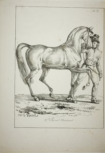 Královská garda, Norman Cavalier, ne v kompletních šatech, a kůň, č. 3 od Carle Vernet