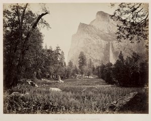Svatební závoj, Yosemite, c. 1865-1866. od Carleton E. Watkins
