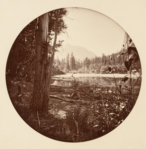 [Yosemitský národní park, Kalifornie], ca. 1878. od Carleton Emmons Watkins