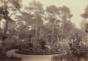  od Carleton Watkins