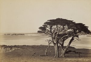  od Carleton Watkins