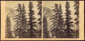 Half Dome a Vernal Fall, z South Fork od Carleton Watkins